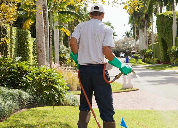 About Berryville AR Pest Control Pros